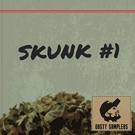 Skunk #1