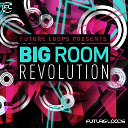 Big Room Revolution