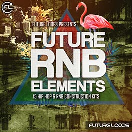 Future RNB Elements