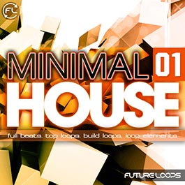 Minimal House 01
